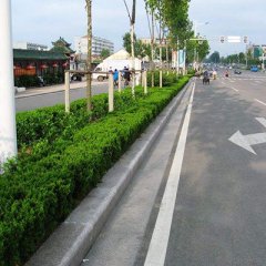 路沿石施工